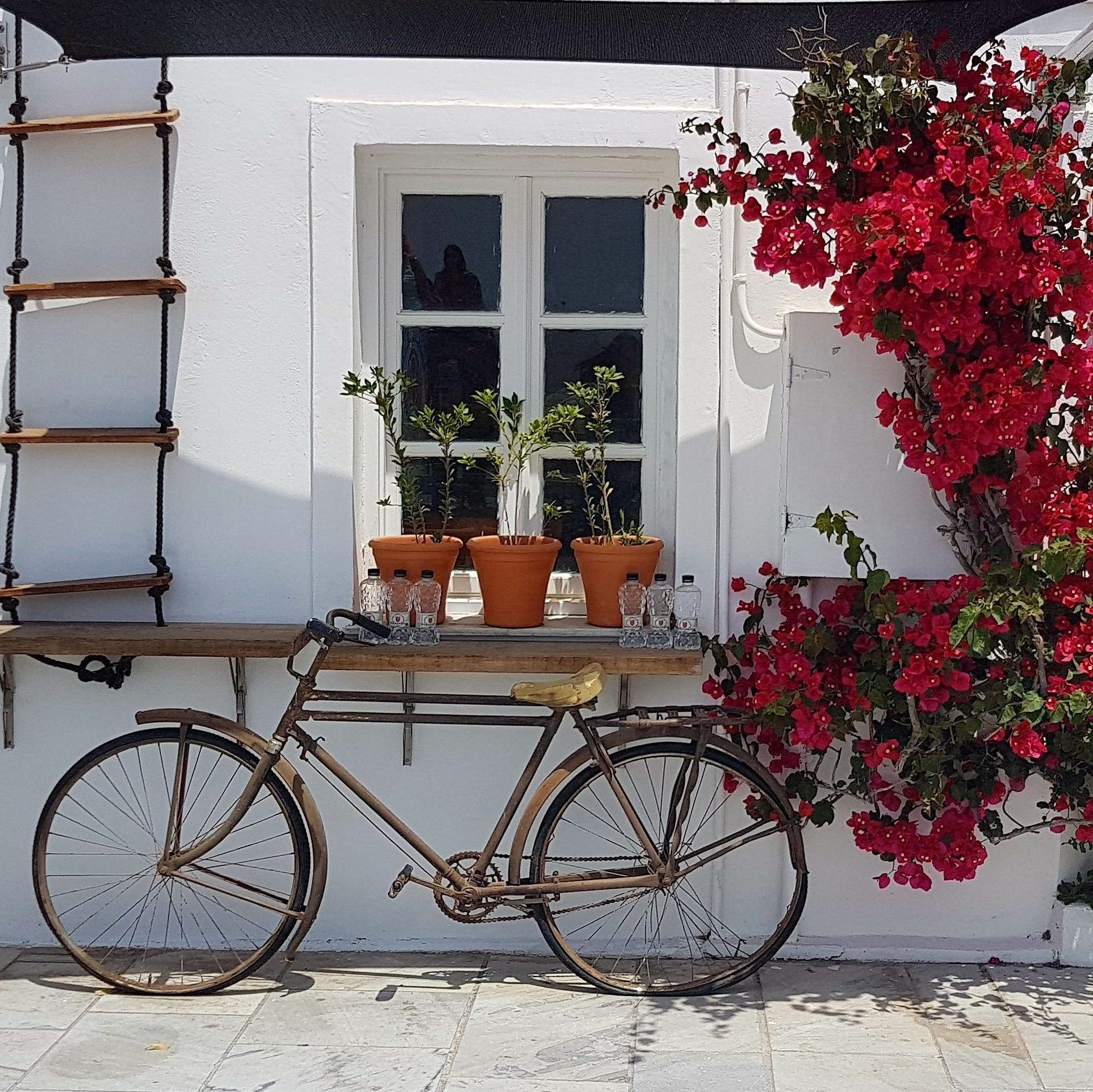 old bicycle infront of a window.
