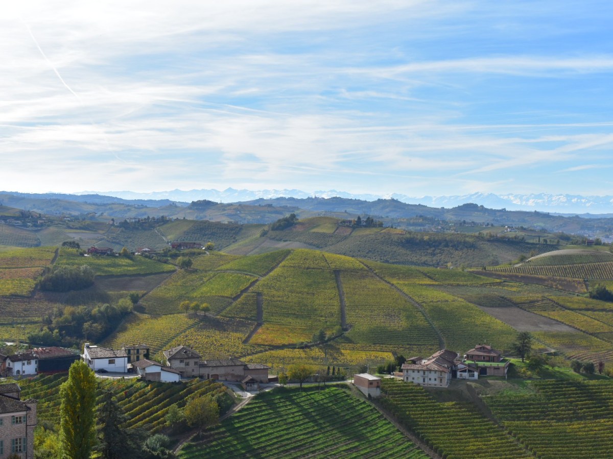 Truffles and wine tasting in Le&nbsp;Langhe